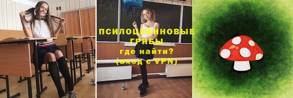 спайс Новодвинск