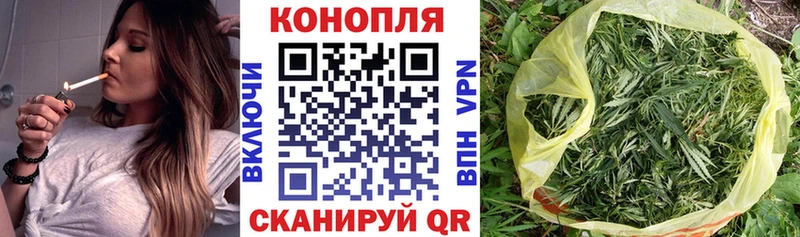 Бошки Шишки семена MEGA ССЫЛКА Касли купить наркотики сайты